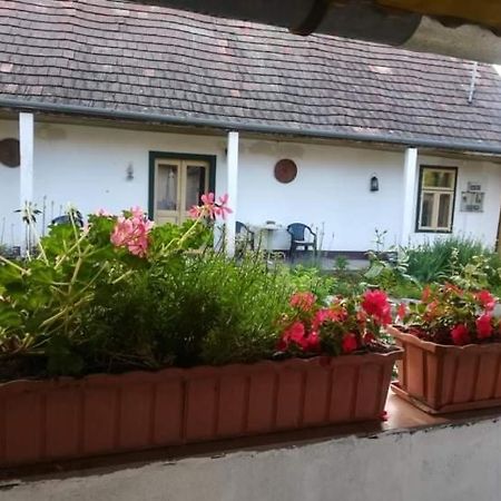 Teréz Háza Pazmand Exterior foto
