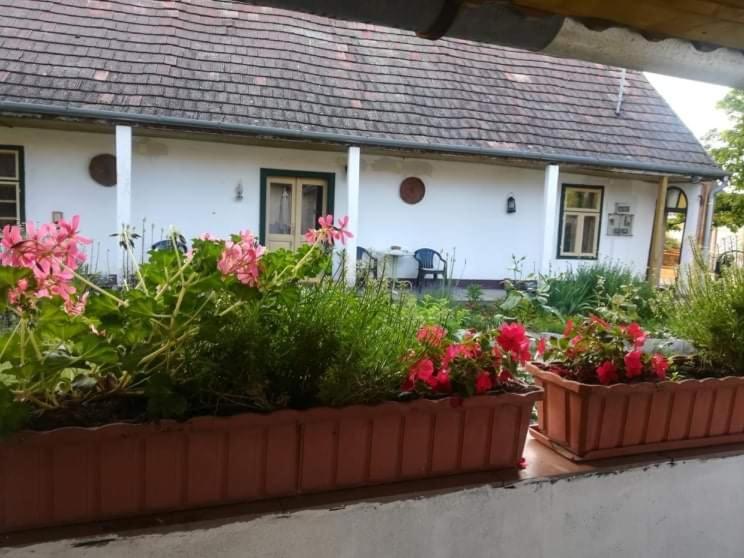 Teréz Háza Pazmand Exterior foto